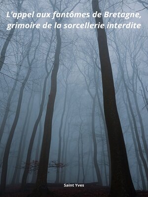 cover image of L'appel aux fantômes de Bretagne